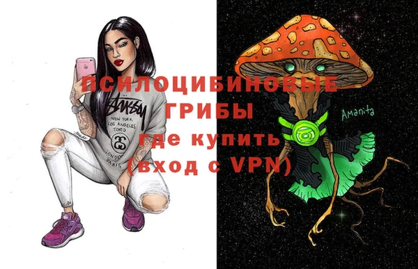 стаф Вязники