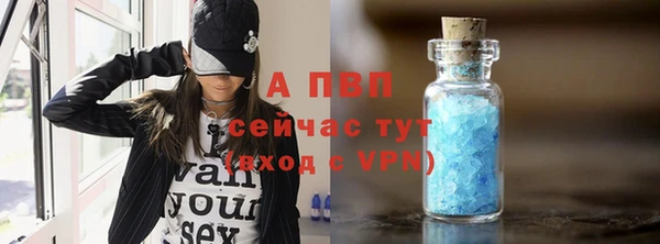 стаф Вязники