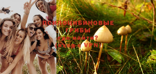 эйфоретик Вязьма