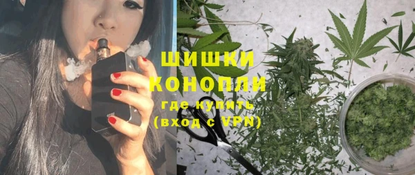 стаф Вязники