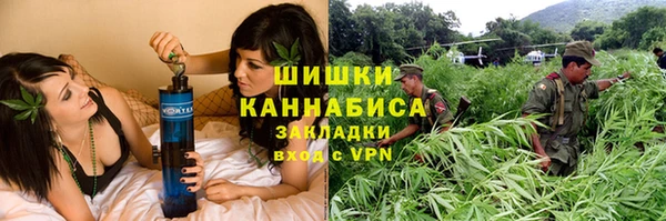 2c-b Вяземский